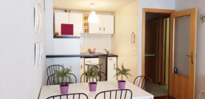 Vivienda Turística Pirineos XXI
